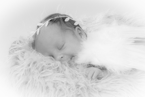 Fotografie Katzenberger | Schwangerschaft und Baby | Hundefotograf auf alleFotografen