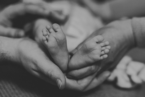 PR-Photostudio | Newborn | Bewerbungsfotograf auf alleFotografen