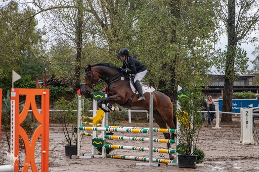 Samuel Fischer | Sportveranstaltungen | Pferdefotograf auf alleFotografen
