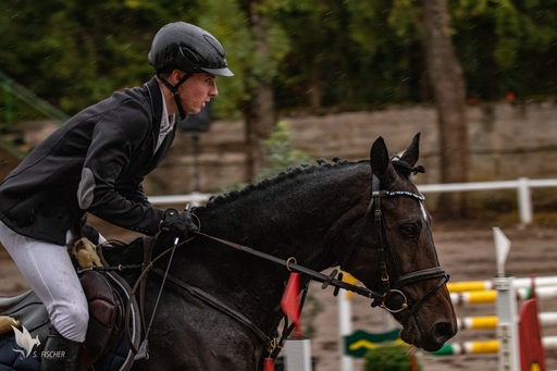 Samuel Fischer | Sportveranstaltungen | Hundefotograf auf alleFotografen