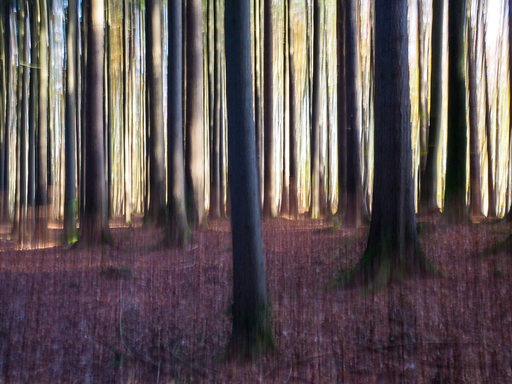 Kevin França | Fine Art Photography  | Art | Paarfotograf auf alleFotografen