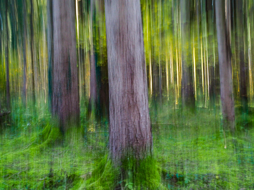 Kevin França | Fine Art Photography  | Art | Konzertfotograf auf alleFotografen