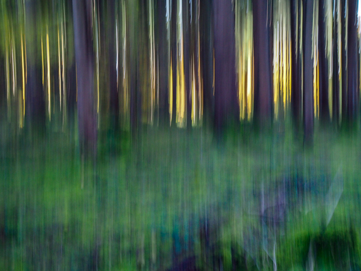 Kevin França | Fine Art Photography  | Art | Imagefotograf auf alleFotografen