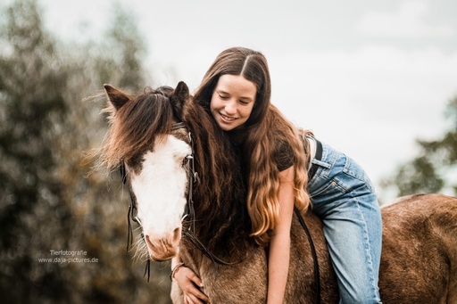 Tierfotografie daja-pictures | Pferdefotografie | Hundefotograf auf alleFotografen