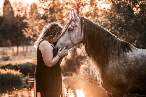 Soulmate Fotografie - Anika Bräutigam | Pferde | Paarfotograf auf alleFotografen