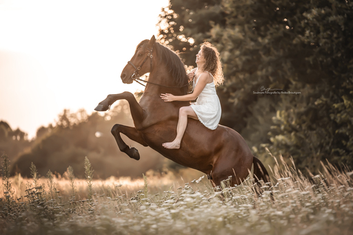Soulmate Fotografie - Anika Bräutigam | Pferde | Tierfotograf auf alleFotografen