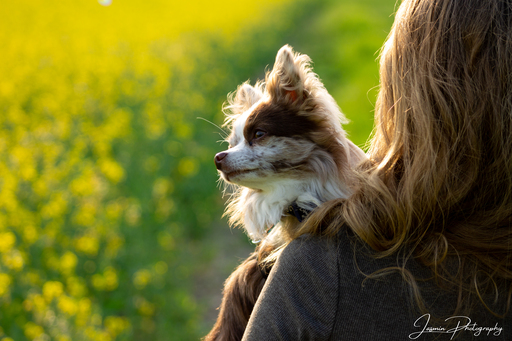 Jasmin Photography | Jasmin Photography | Kinderfotograf auf alleFotografen