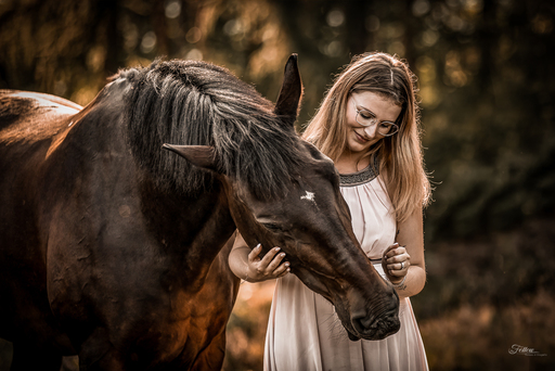 Anifellow - Portraits & Fotografie | Pferdefotografie | Tierfotograf auf alleFotografen