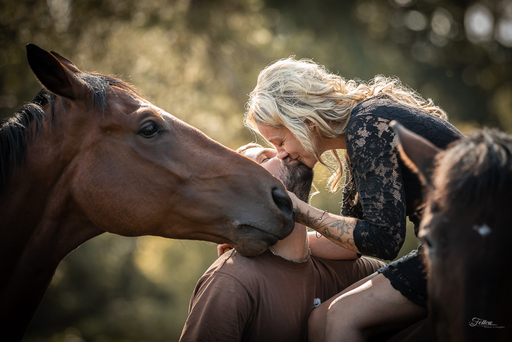 Anifellow - Portraits & Fotografie | Pferdefotografie | Pferdefotograf auf alleFotografen