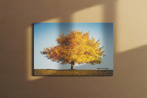 Jonathan Schöps | undarstellbar | Ästhetik der Schöpfung — Orte für die Seele | Stockfotograf auf alleFotografen