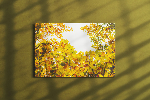 Jonathan Schöps | undarstellbar | Ästhetik der Schöpfung — Orte für die Seele | Stockfotograf auf alleFotografen