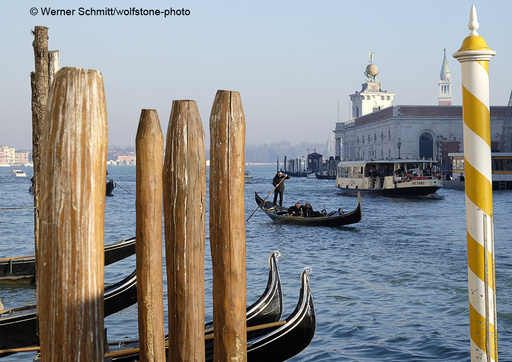 wolfstone-photo | Venedig | Tierfotograf auf alleFotografen