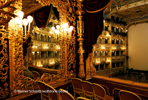 wolfstone-photo | Venedig | Tierfotograf auf alleFotografen