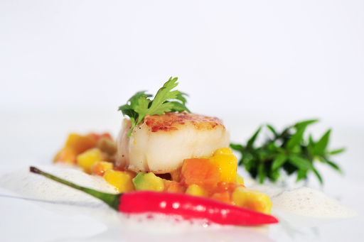 Jürgen Scheere | Food | Konzertfotograf auf alleFotografen