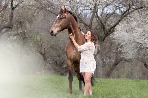 Cindy Moeller Fotografie | Pferdefotografie | Paarfotograf auf alleFotografen