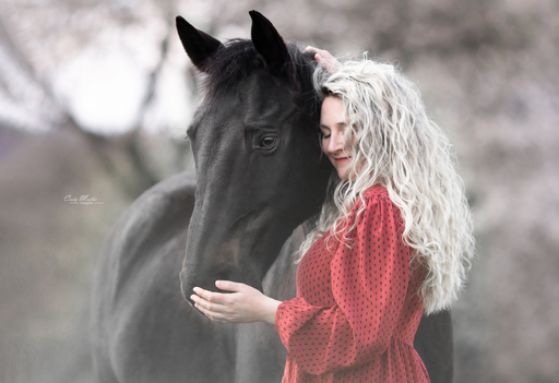 Cindy Moeller Fotografie | Pferdefotografie | Portraitfotograf auf alleFotografen