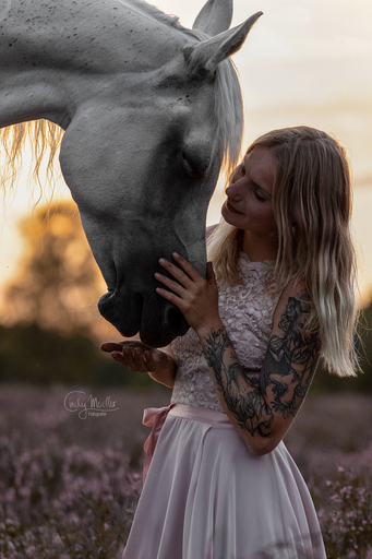 Cindy Moeller Fotografie | Pferdefotografie | Pferdefotograf auf alleFotografen