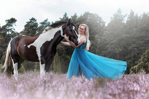 Cindy Moeller Fotografie | Pferdefotografie | Sportfotograf auf alleFotografen