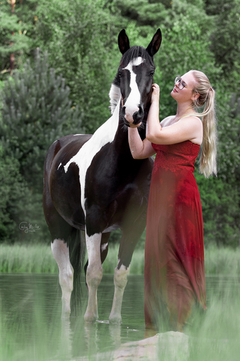 Cindy Moeller Fotografie | Pferdefotografie | Pferdefotograf auf alleFotografen