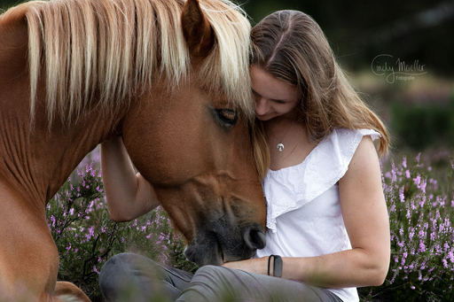 Cindy Moeller Fotografie | Pferdefotografie | Hundefotograf auf alleFotografen