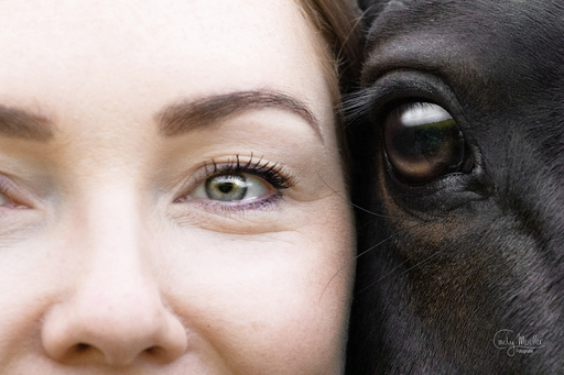 Cindy Moeller Fotografie | Pferdefotografie | Pferdefotograf auf alleFotografen