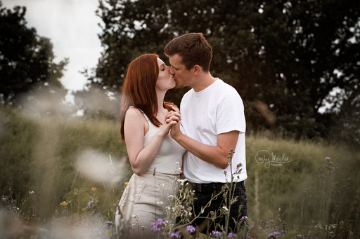 Cindy Moeller Fotografie | Anderes | Pferdefotograf auf alleFotografen