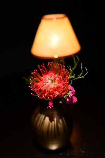 Apolo&Photography | Low light | Paarfotograf auf alleFotografen