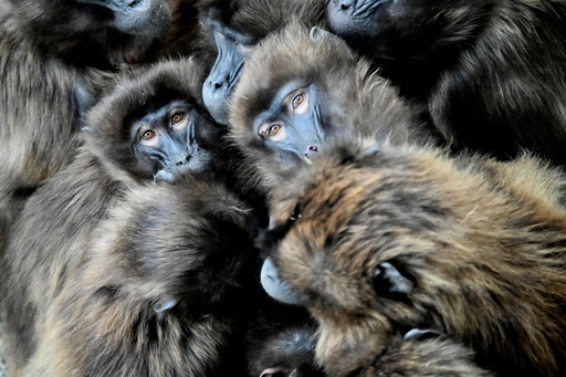 Apolo&Photography | Nature | Babyfotograf auf alleFotografen