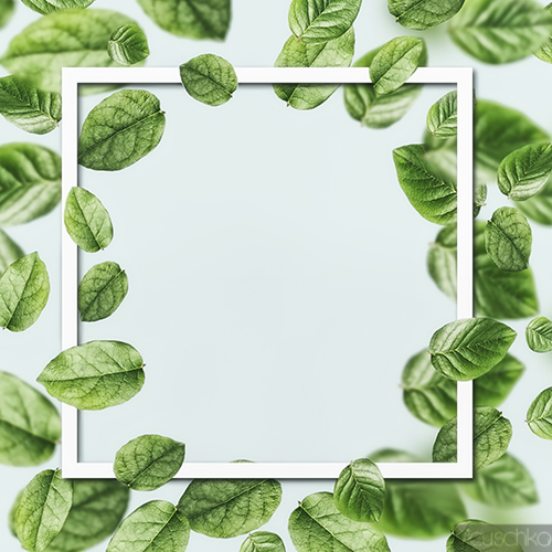 Food and Still life | Flowers | Foodfotograf auf alleFotografen