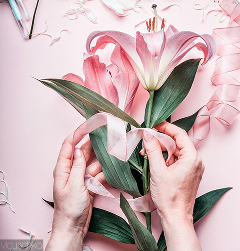 Food and Still life | Flowers | Foodfotograf auf alleFotografen