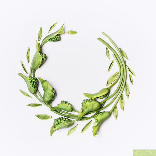 Food and Still life | Flowers | Foodfotograf auf alleFotografen