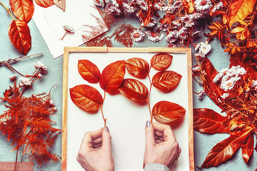 Food and Still life | Flowers | Foodfotograf auf alleFotografen