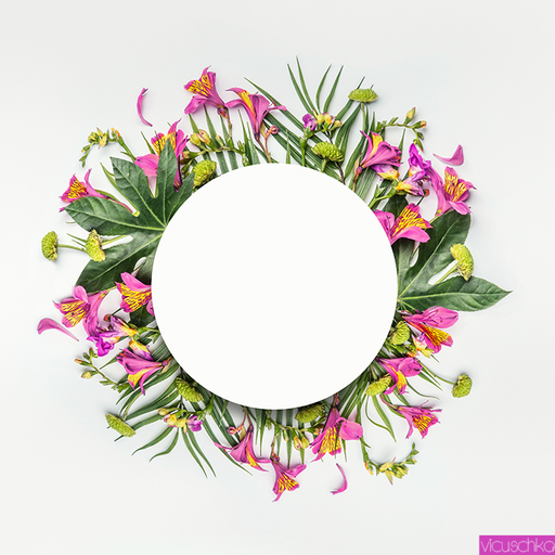 Food and Still life | Flowers | Foodfotograf auf alleFotografen