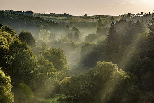 Behrens-Gallery | Landschaft | Architekturfotograf auf alleFotografen