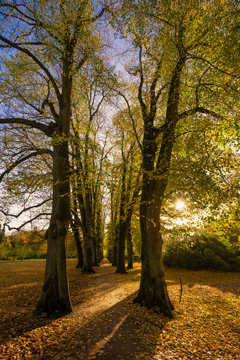 Behrens-Gallery | Landschaft | Werbefotograf auf alleFotografen