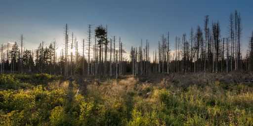 Behrens-Gallery | Landschaft | Werbefotograf auf alleFotografen