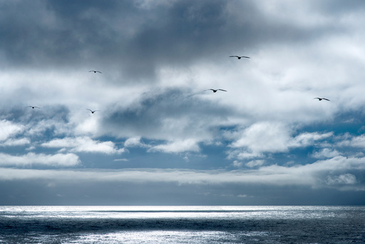 Behrens-Gallery | Landschaft | Landschaftsfotograf auf alleFotografen