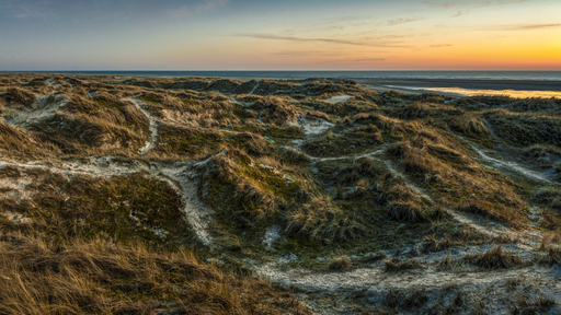 Behrens-Gallery | Landschaft | Landschaftsfotograf auf alleFotografen