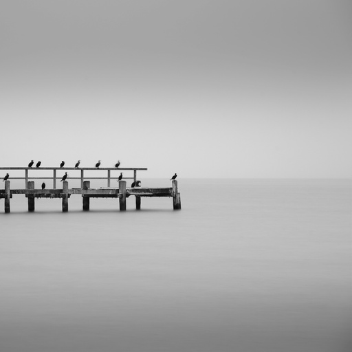 Behrens-Gallery | Schwarz-Weiß | Landschaftsfotograf auf alleFotografen