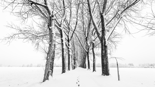 Bernhard Pilz Photography  | Landschaft | Kinderfotograf auf alleFotografen