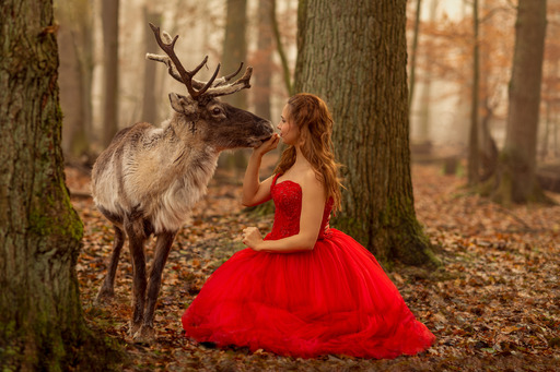 GrietschFotografie | Mensch und Tier | Babyfotograf auf alleFotografen