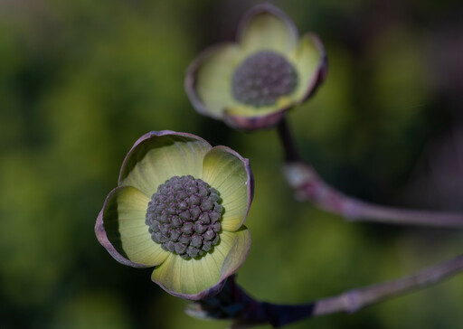 LOCKE art & photodesign | natur | Landschaftsfotograf auf alleFotografen