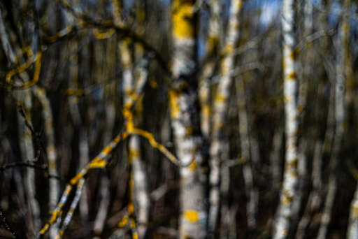 Lars Laion | Still Life | Architekturfotograf auf alleFotografen