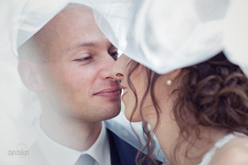 Dandelion Pictures | Hochzeitsfotografie | Familienfotograf auf alleFotografen