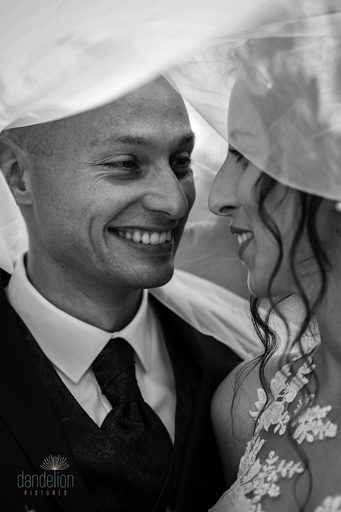 Dandelion Pictures | Hochzeitsfotografie | Imagefotograf auf alleFotografen