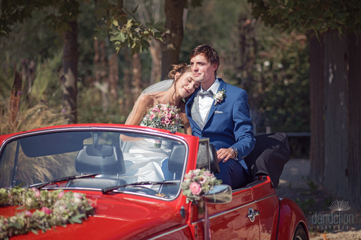 Dandelion Pictures | Hochzeitsfotografie | Familienfotograf auf alleFotografen