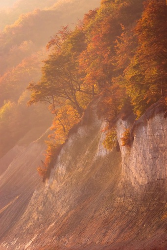 Martin Wasilewski | Küsten | Landschaftsfotograf auf alleFotografen