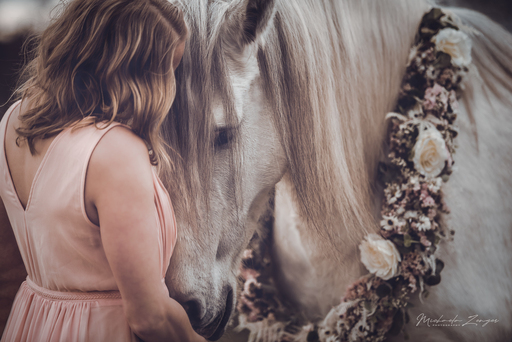 Michaela Zenger Photography  | Pferdefotografie | Paarfotograf auf alleFotografen