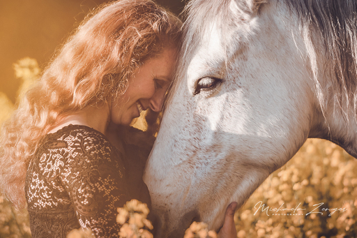 Michaela Zenger Photography  | Pferdefotografie | Hundefotograf auf alleFotografen