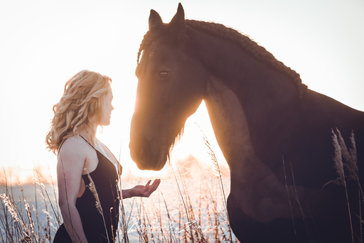 Michaela Zenger Photography  | Pferdefotografie | Tierfotograf auf alleFotografen